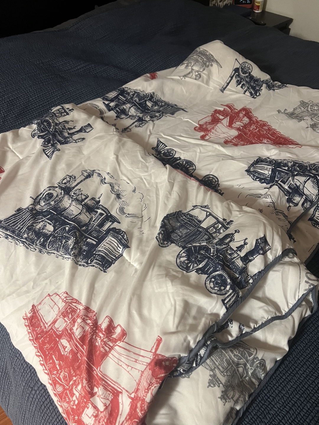 Four Quilts - Tropical, Geometric, Trains, and Solid - photo 2