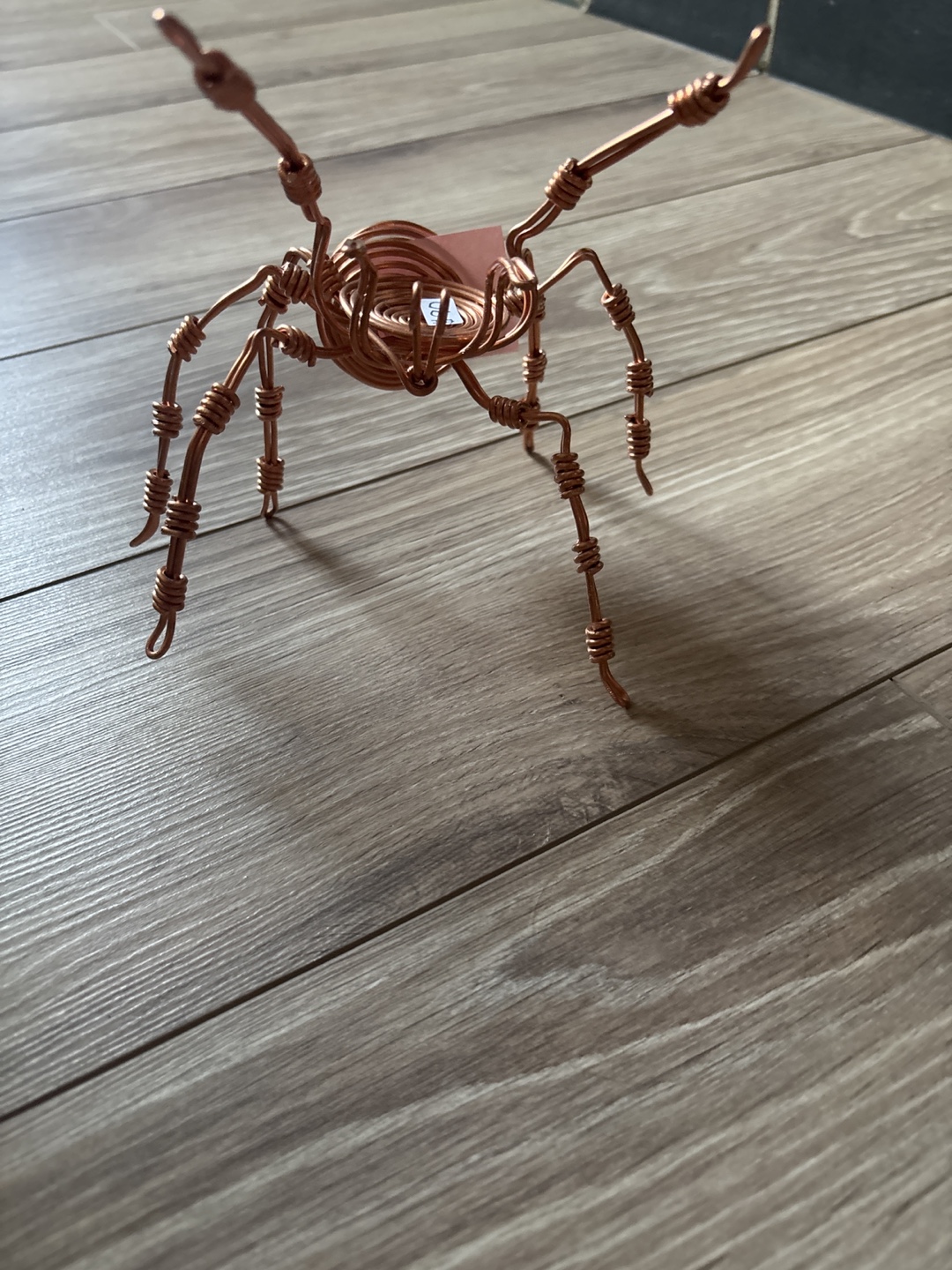 Copper Wire Spider Sculpture