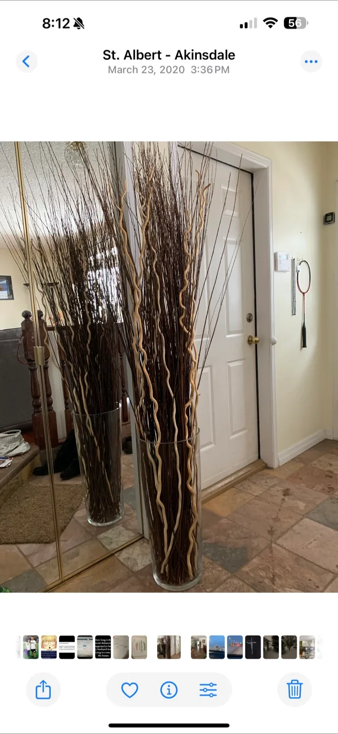 Tall Decorative Branches in Glass Vase thumbnail