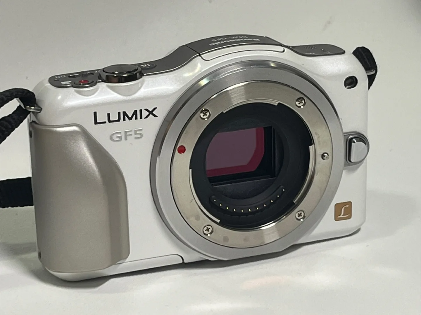Panasonic Lumix DMC-GF5W Mirrorless Camera body only image indicator(2)