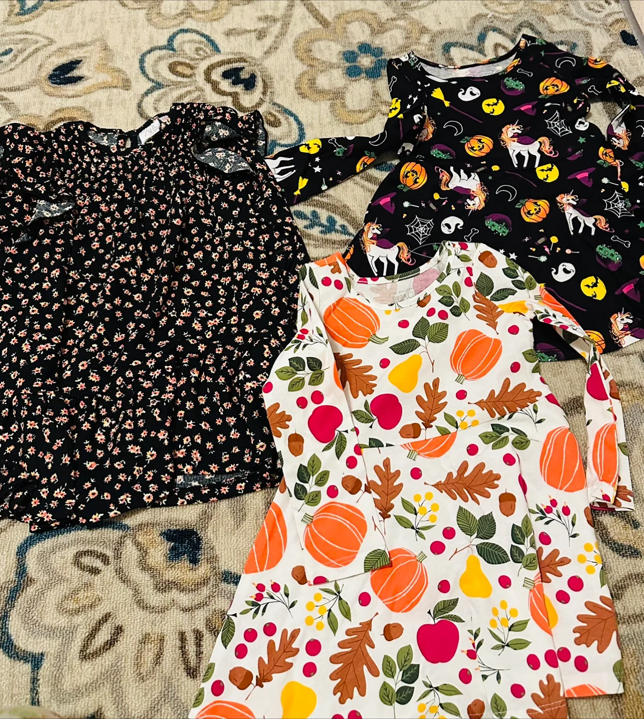 Three Toddler Girls' Dresses - Fall, Floral, Halloween thumbnail