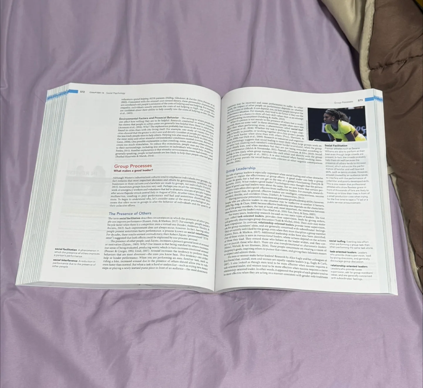 Essentials of Psychology, 7th Edition Textbook image indicator(5)