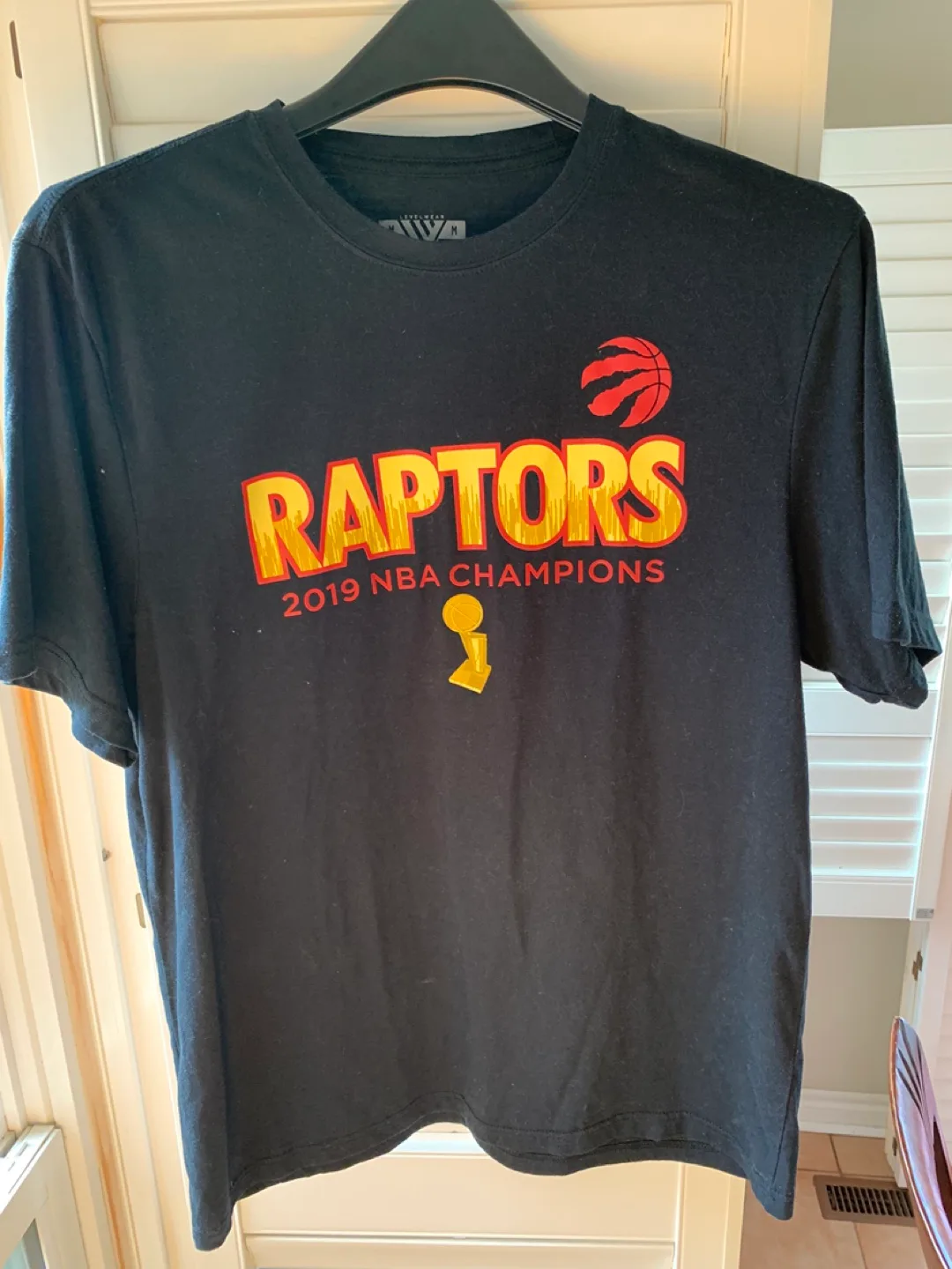 2 Toronto Raptors (sweatshirt and t-shirt) NBA Championship image indicator(6)