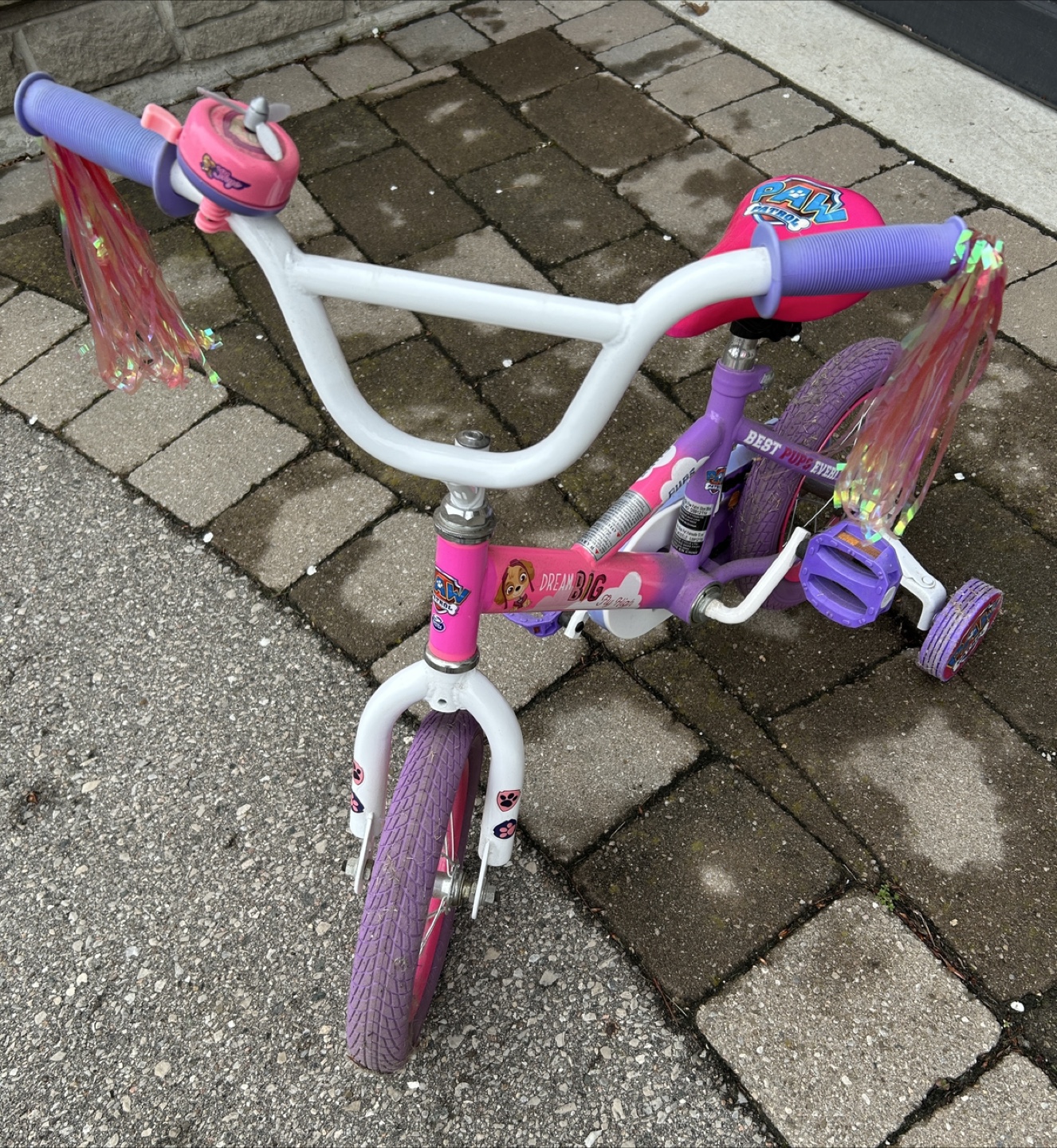 Paw Patrol Girls' Bike with Training Wheels - photo 3