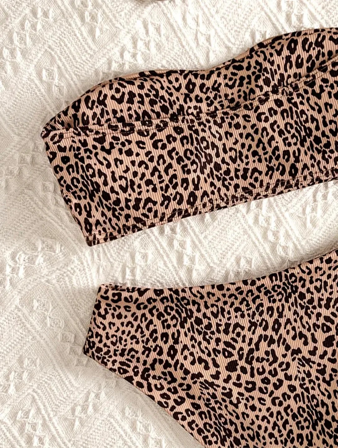 Cheetah Print Banded Bikini Set image indicator(4)