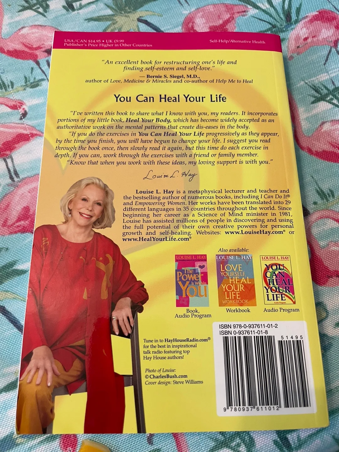 NEW! You Can Heal Your Life by Louise Hay image indicator(2)
