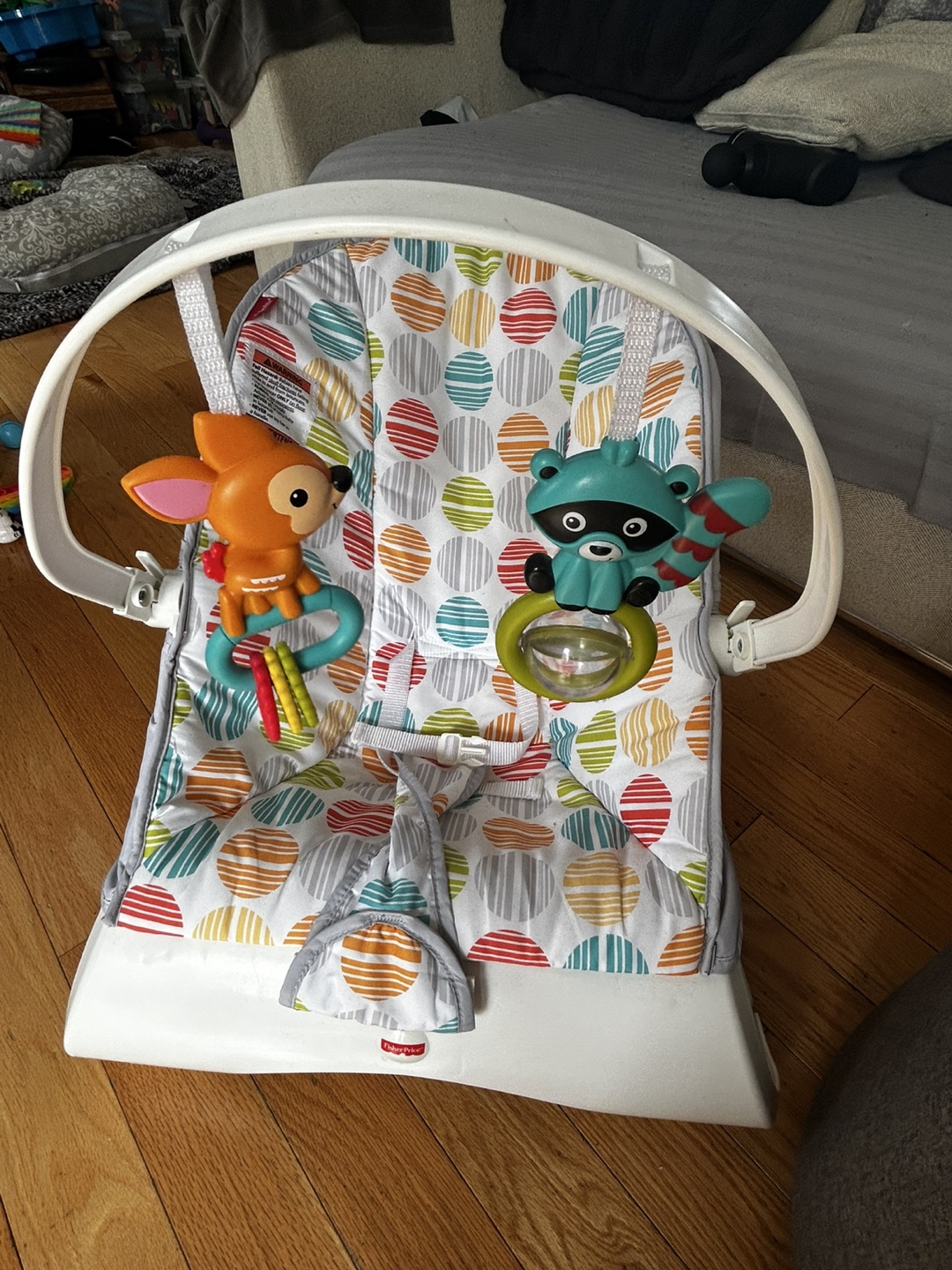 Fisher-Price Infant-to-Toddler Bouncer
