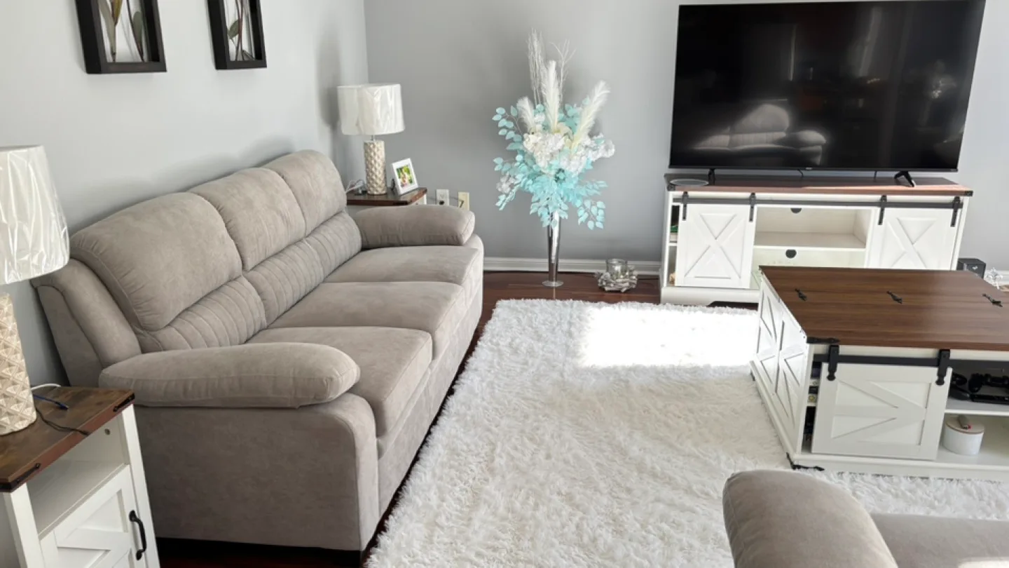 Light Grey Loveseat and Sofa Set image indicator(2)