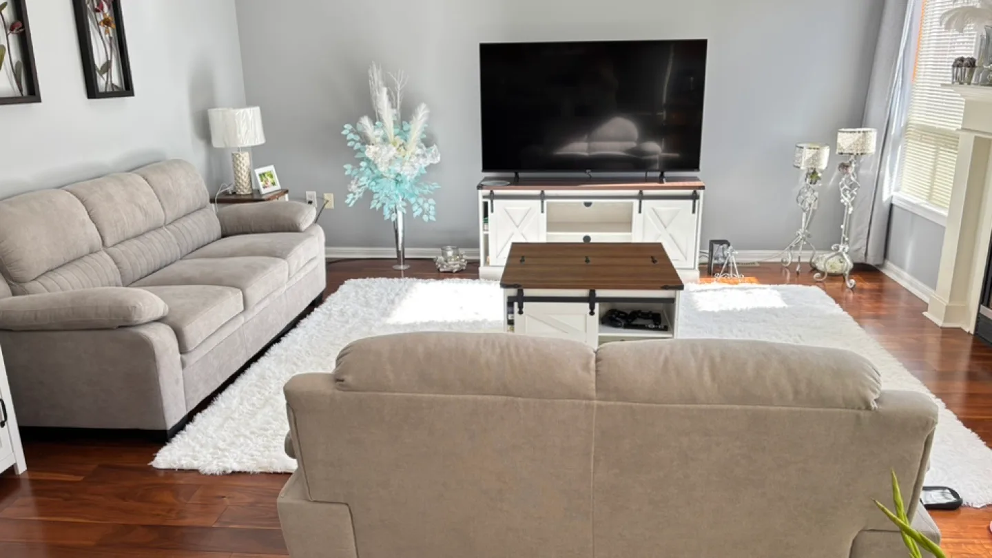 Light Grey Loveseat and Sofa Set image indicator(3)