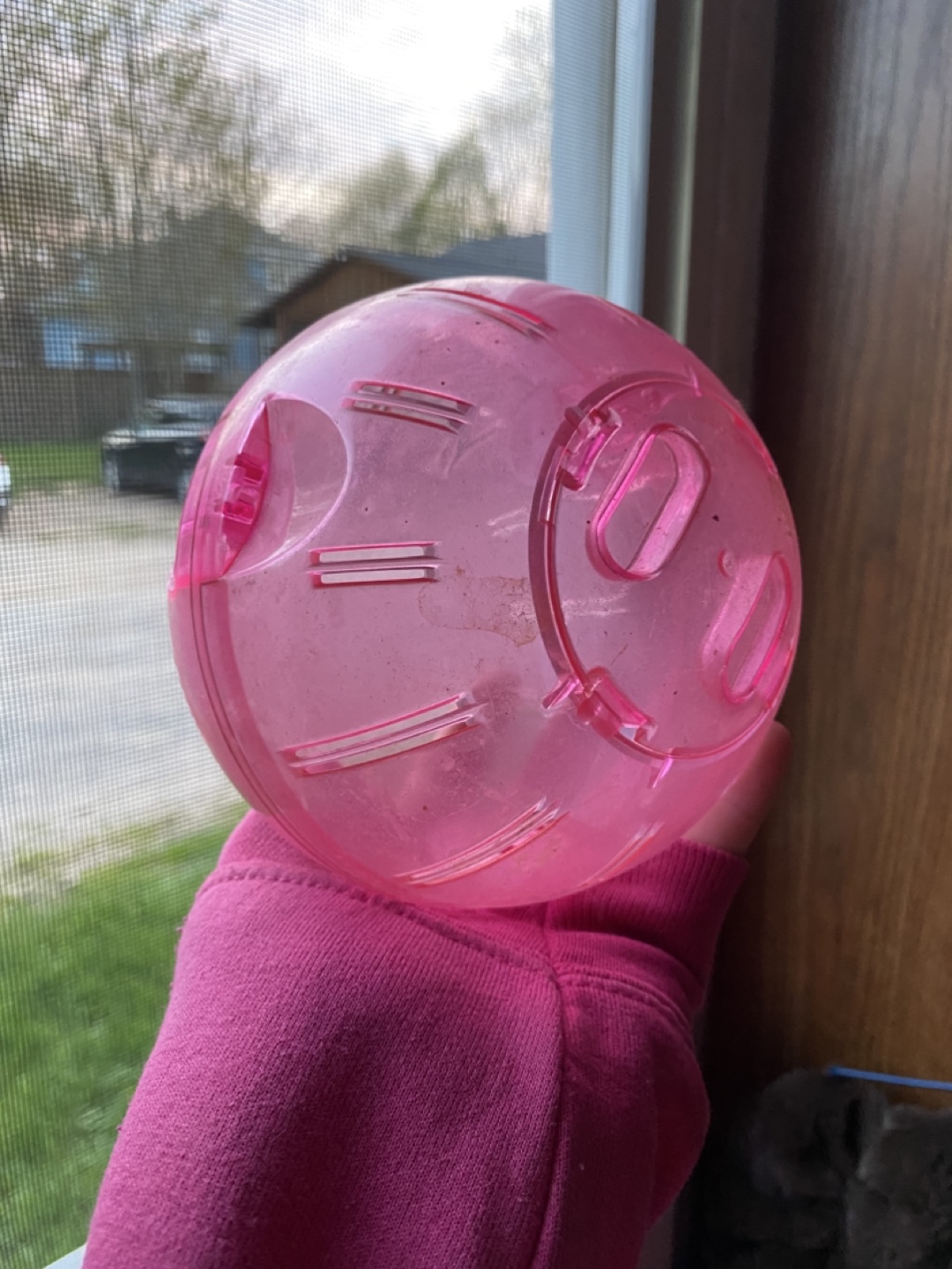 Pink Hamster Ball Exercise Wheel