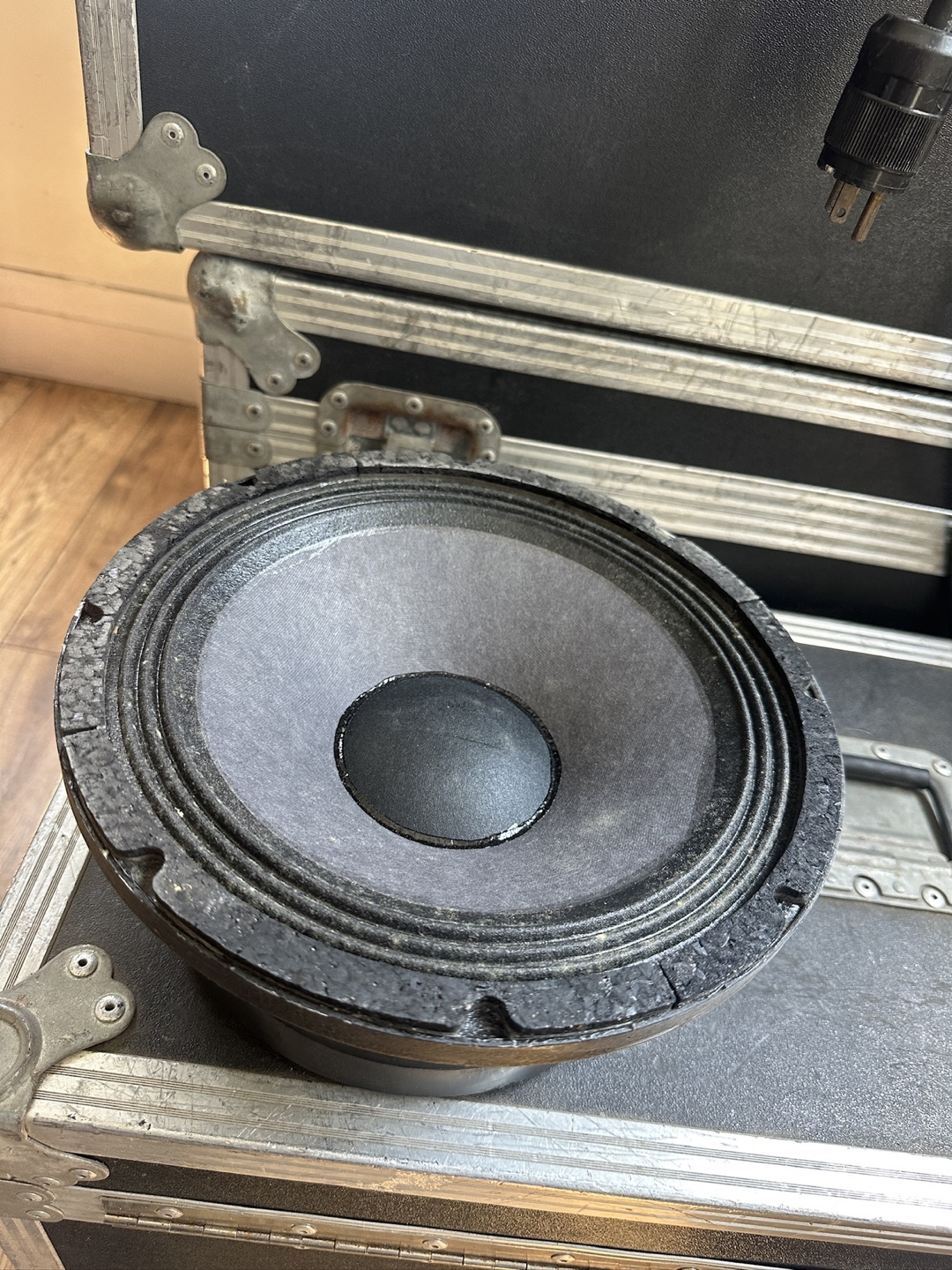 Apogee 10 Woofer Speaker