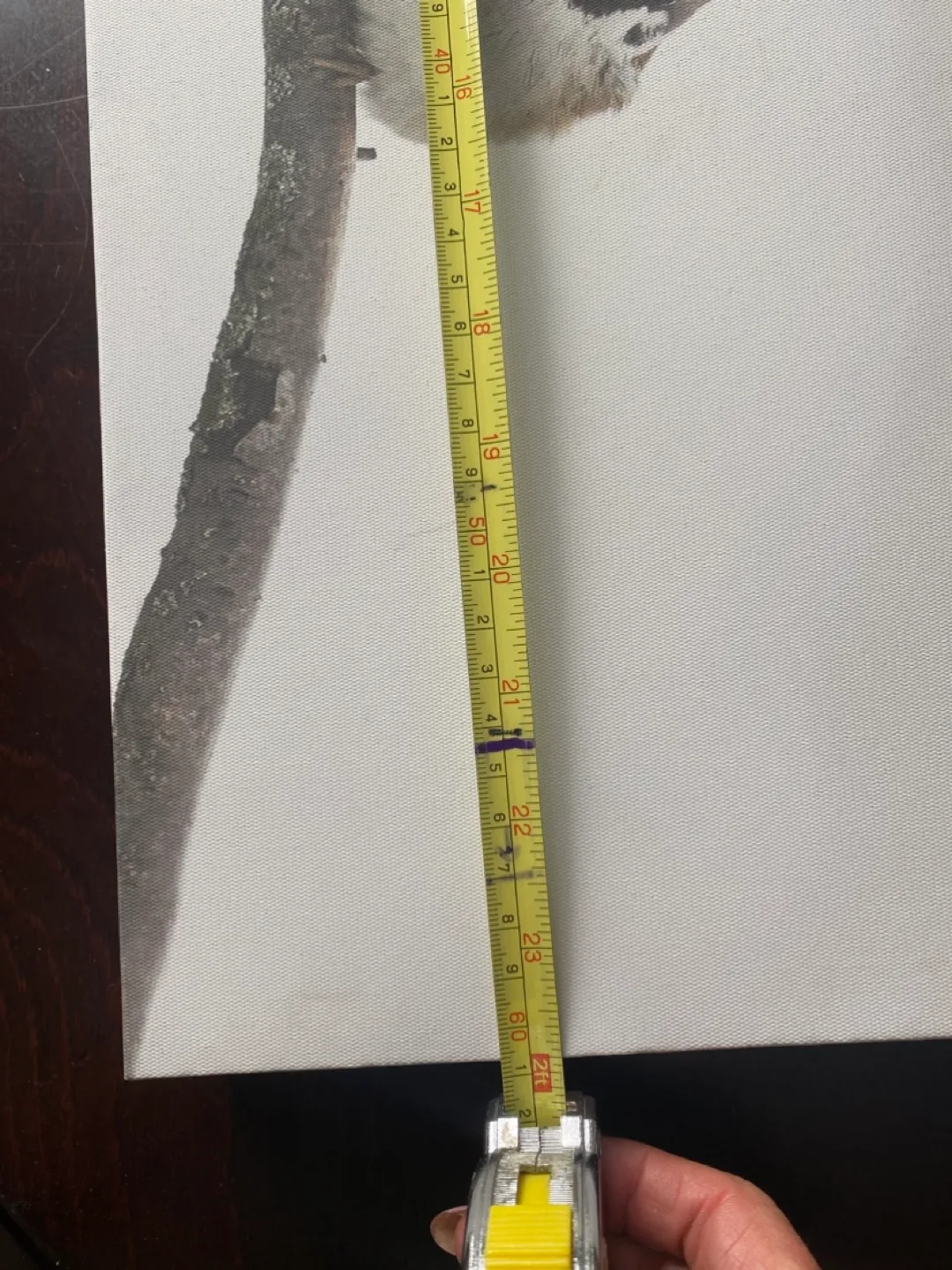 Canvas Wall Art - Three Birds on a Branch image indicator(5)