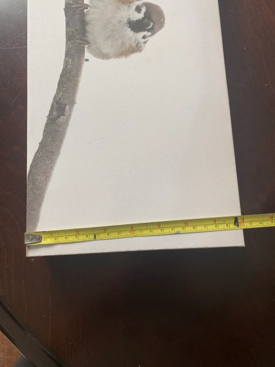 Canvas Wall Art - Three Birds on a Branch image indicator(4)