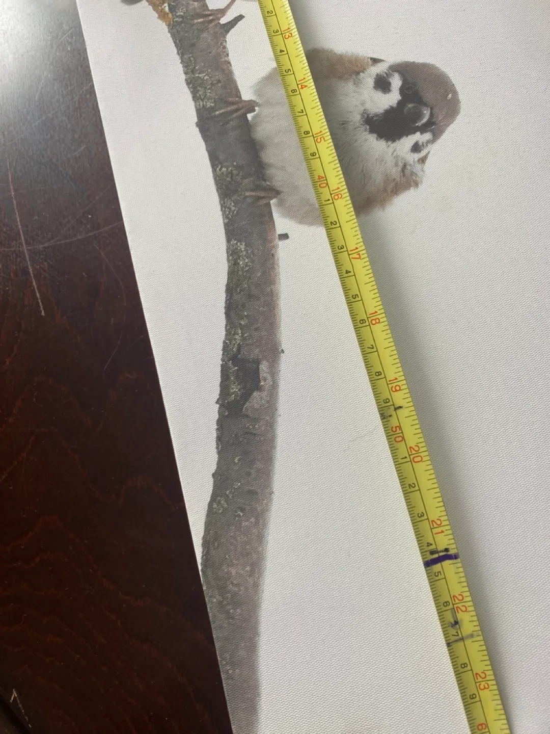 Canvas Wall Art - Three Birds on a Branch image indicator(3)