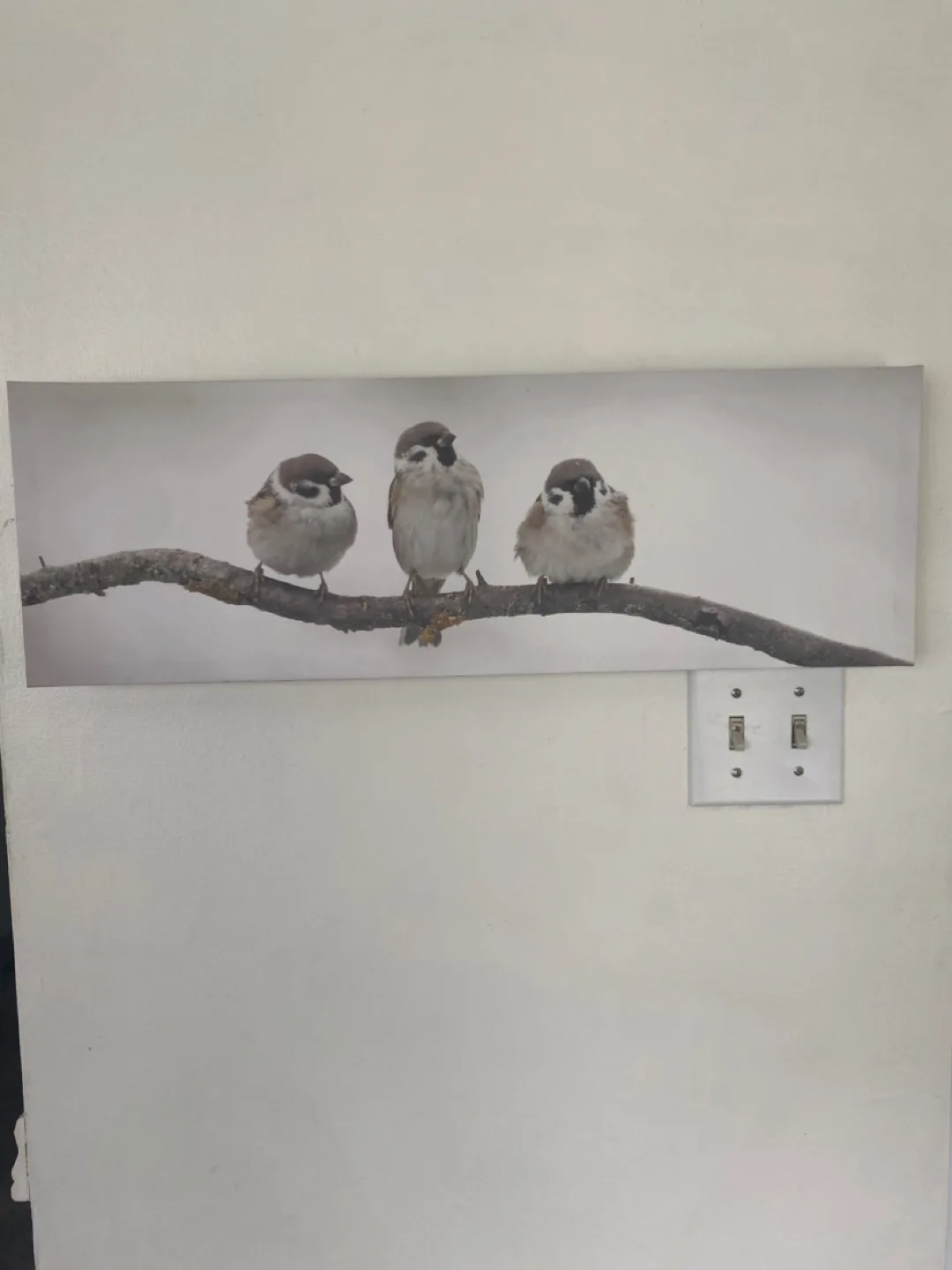 Canvas Wall Art - Three Birds on a Branch thumbnail