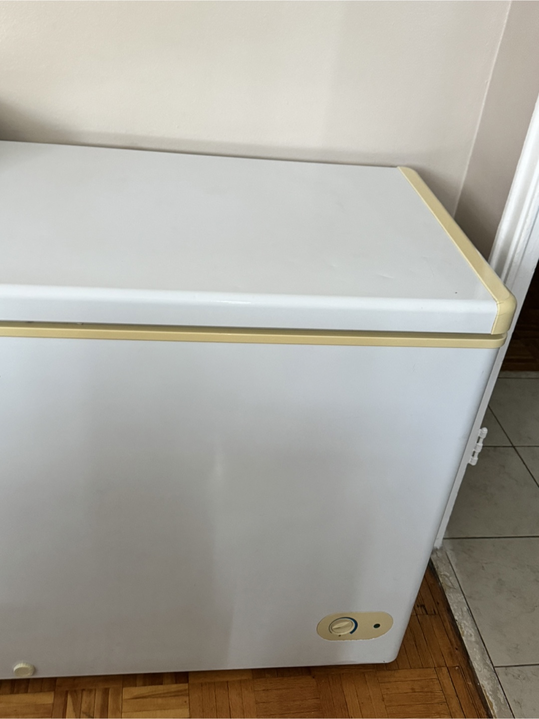 Diplomat Chest Freezer - photo 2