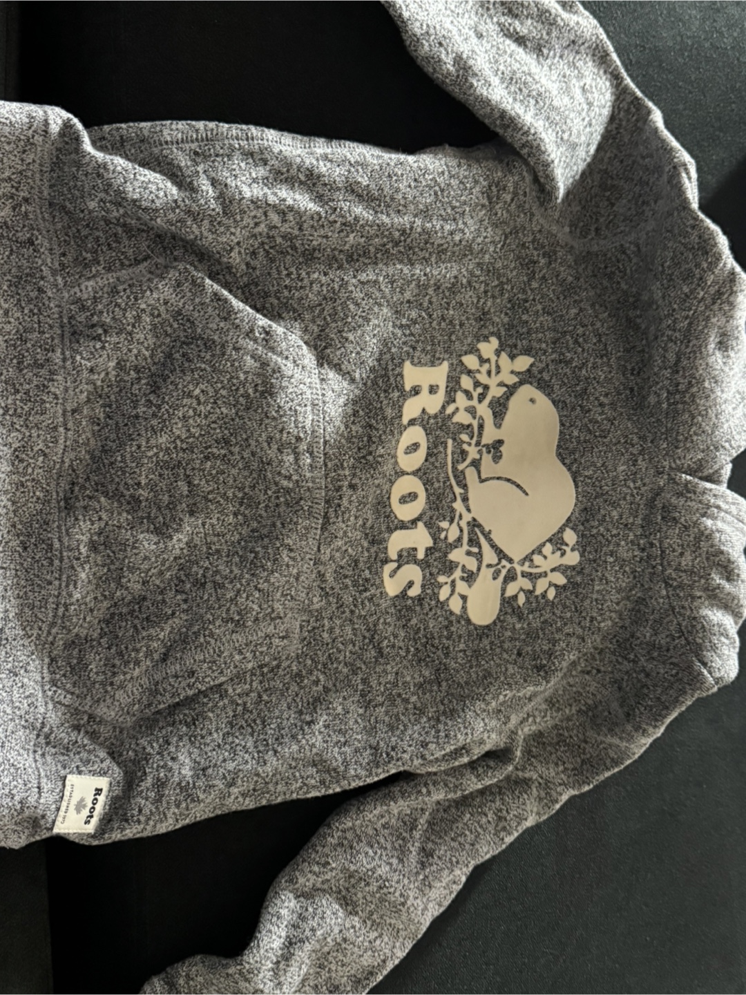 Roots Kids Grey Hoodie Size 5T