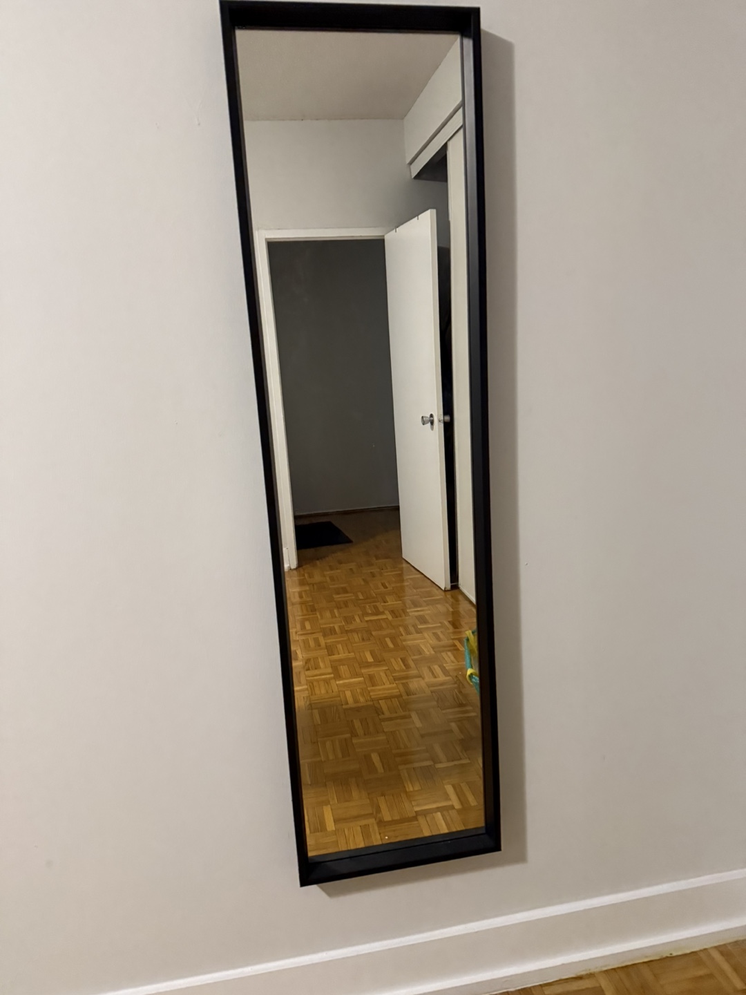 IKEA- Full-Length Mirror with Black Frame (No Bargains)