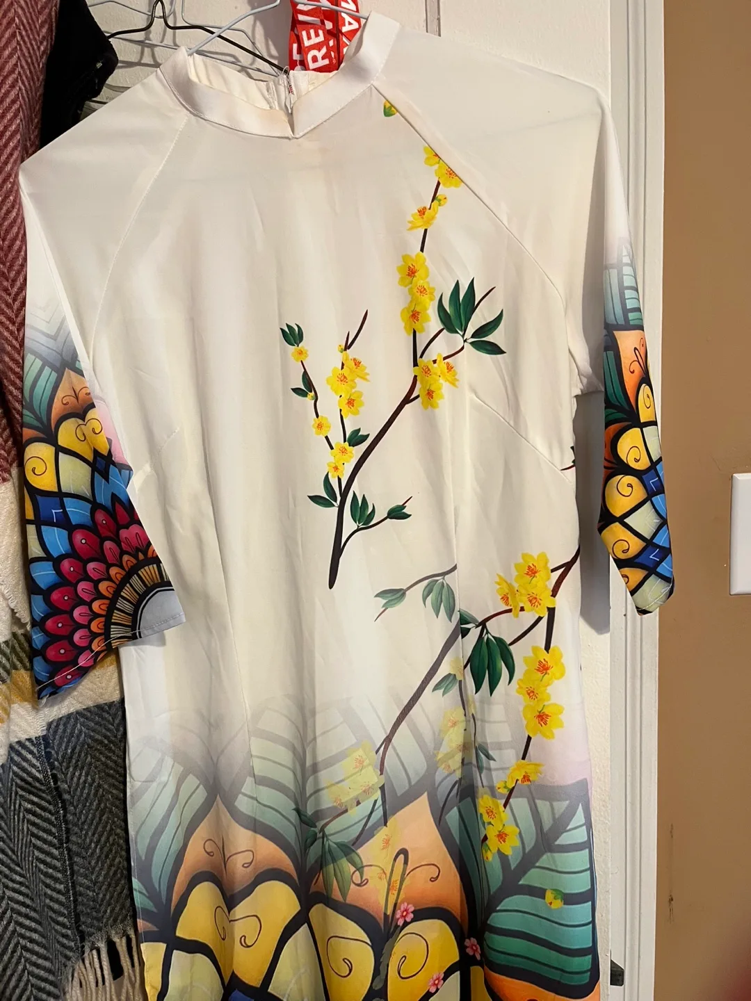 Embroidered Vietnamese Áo Dài image indicator(7)