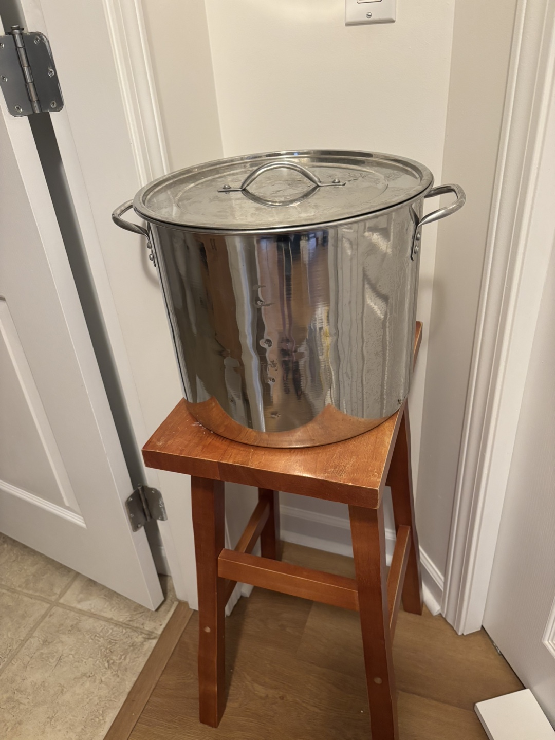 Large Stainless Steel Stock Pot with Lid