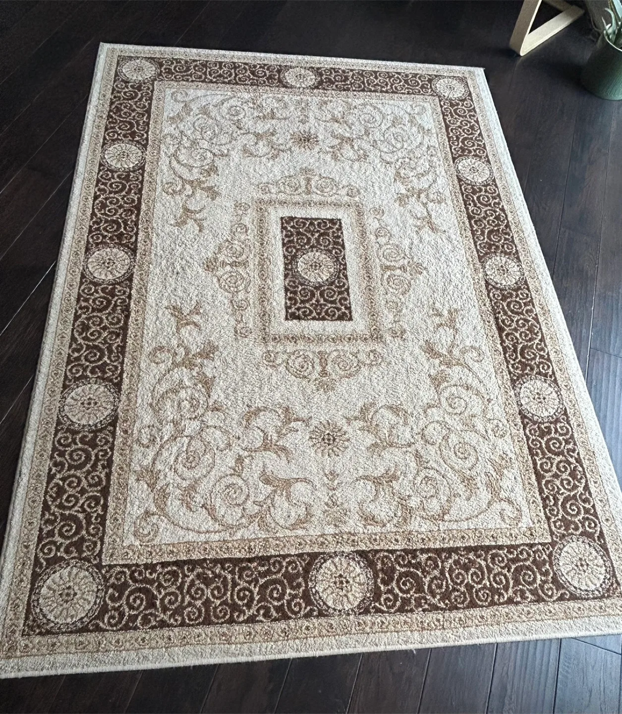Area Rug - Beige and Brown *MOVING SALE* thumbnail