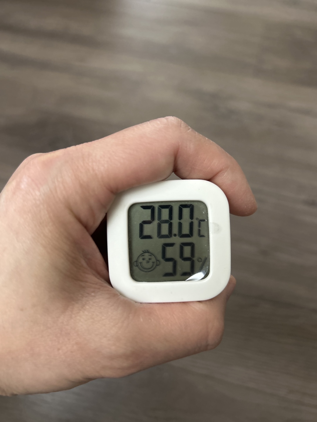 Digital Thermometer Hygrometer - photo 2