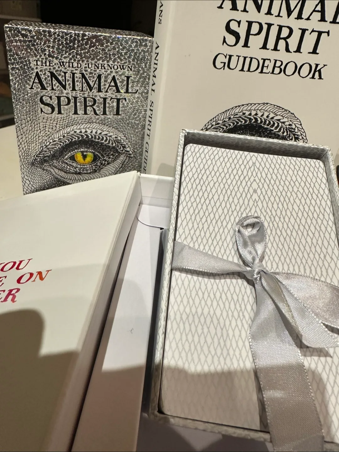Animal Spirit Guidebook and Card Deck image indicator(4)