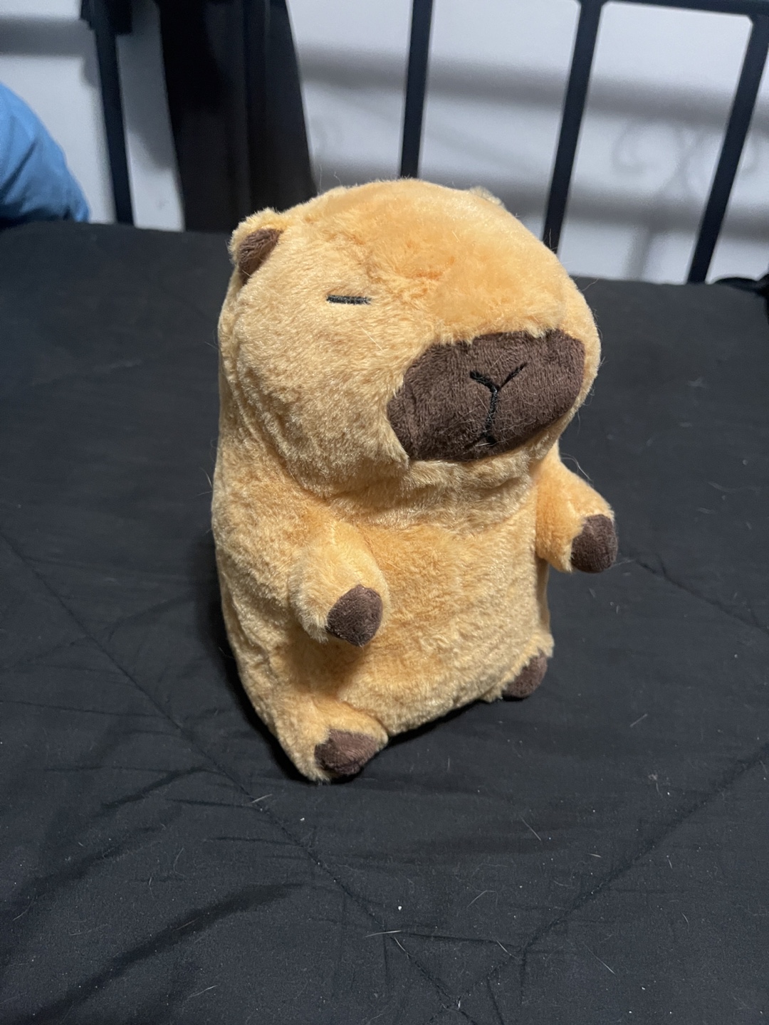 Adorable Capybara Plush Toy