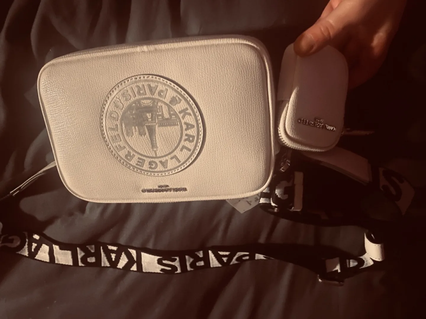 Karl Lagerfield Purses image indicator(5)