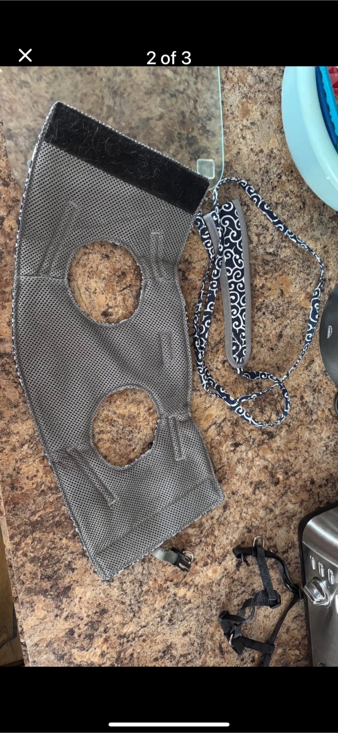 Large cat Harness and Leash Set