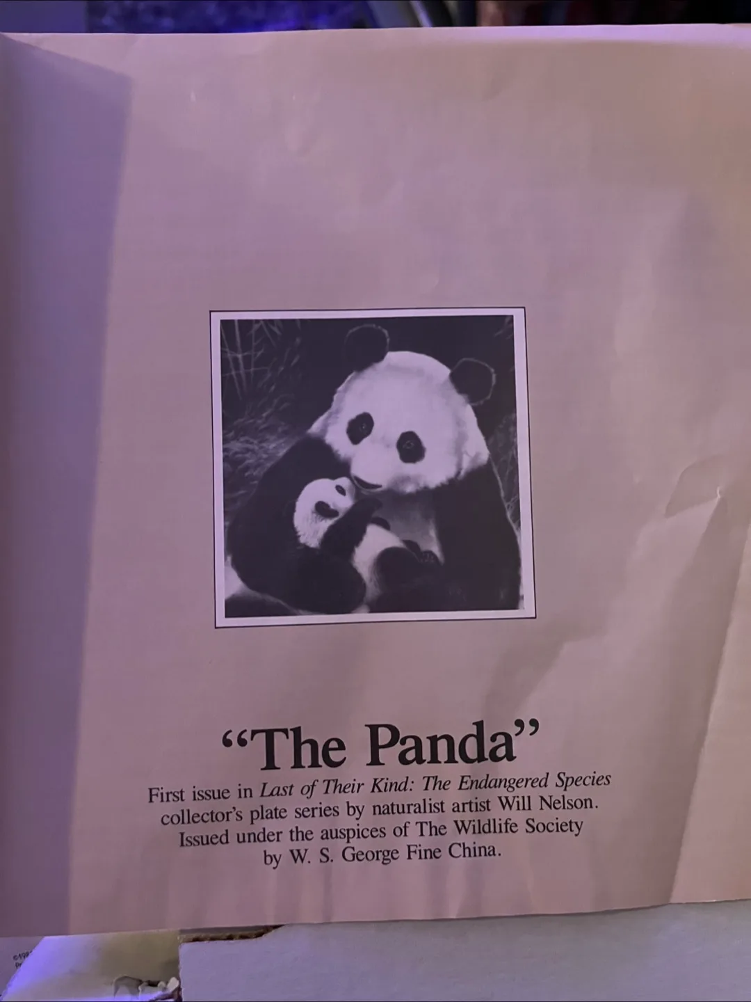 W. S. George Fine China Panda Collector's Plate image indicator(3)