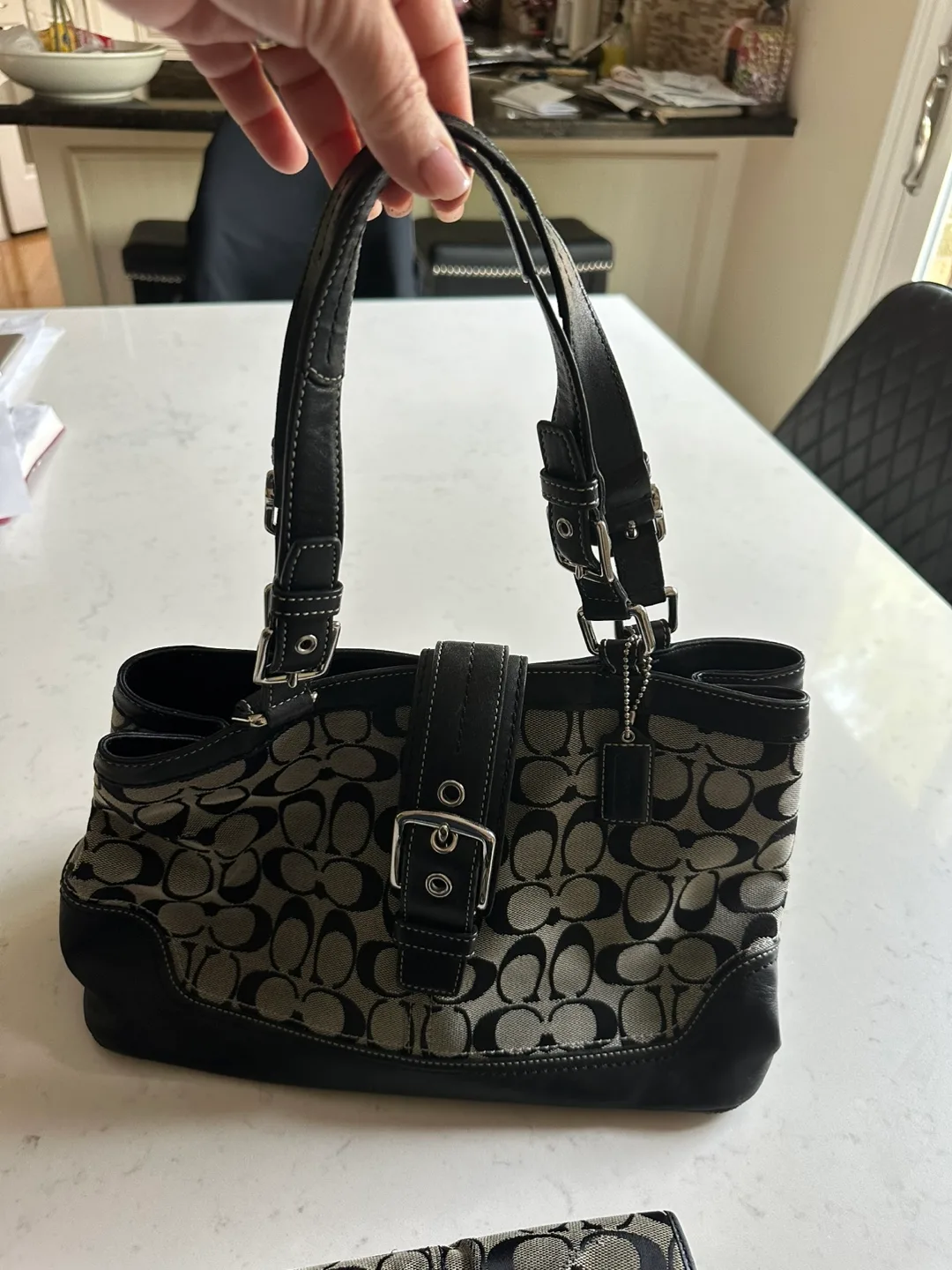 Coach handbag and matching wallet set image indicator(3)