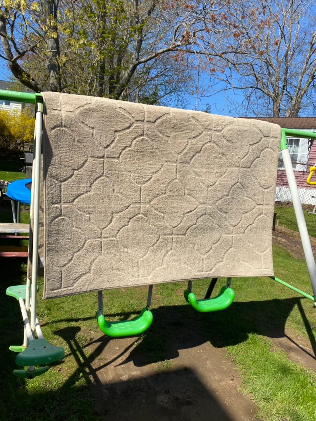 Beige Area Rug thumbnail