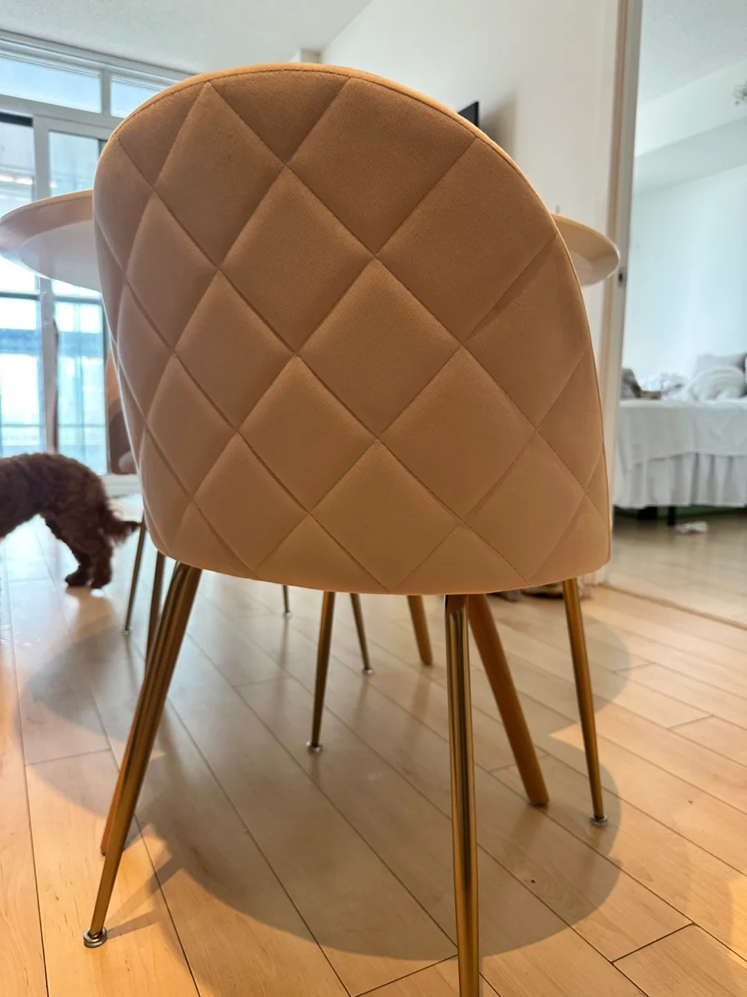 Dining Table Set – with 2 Baby Pink Velvet Chairs image indicator(3)