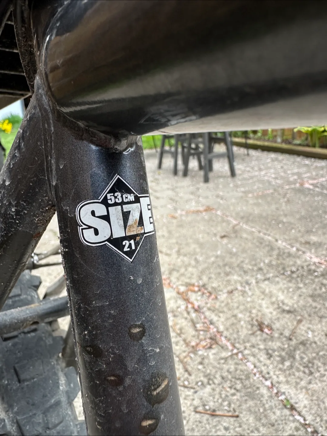 Miele 262 Mountain Bike - 21" image indicator(5)