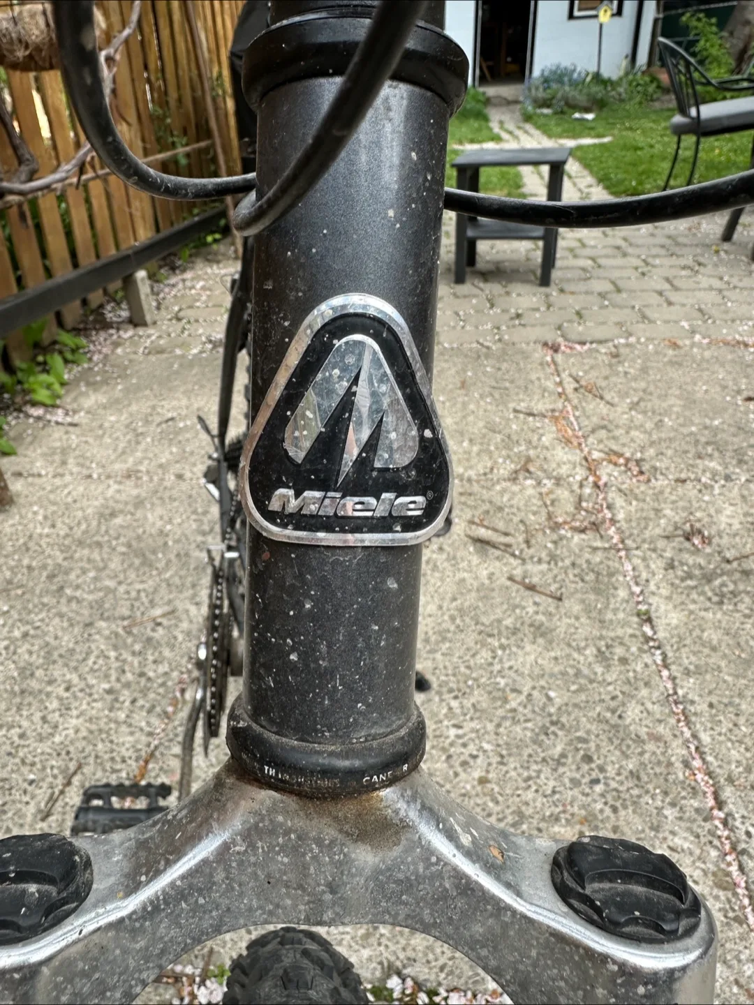 Miele 262 Mountain Bike - 21" image indicator(2)