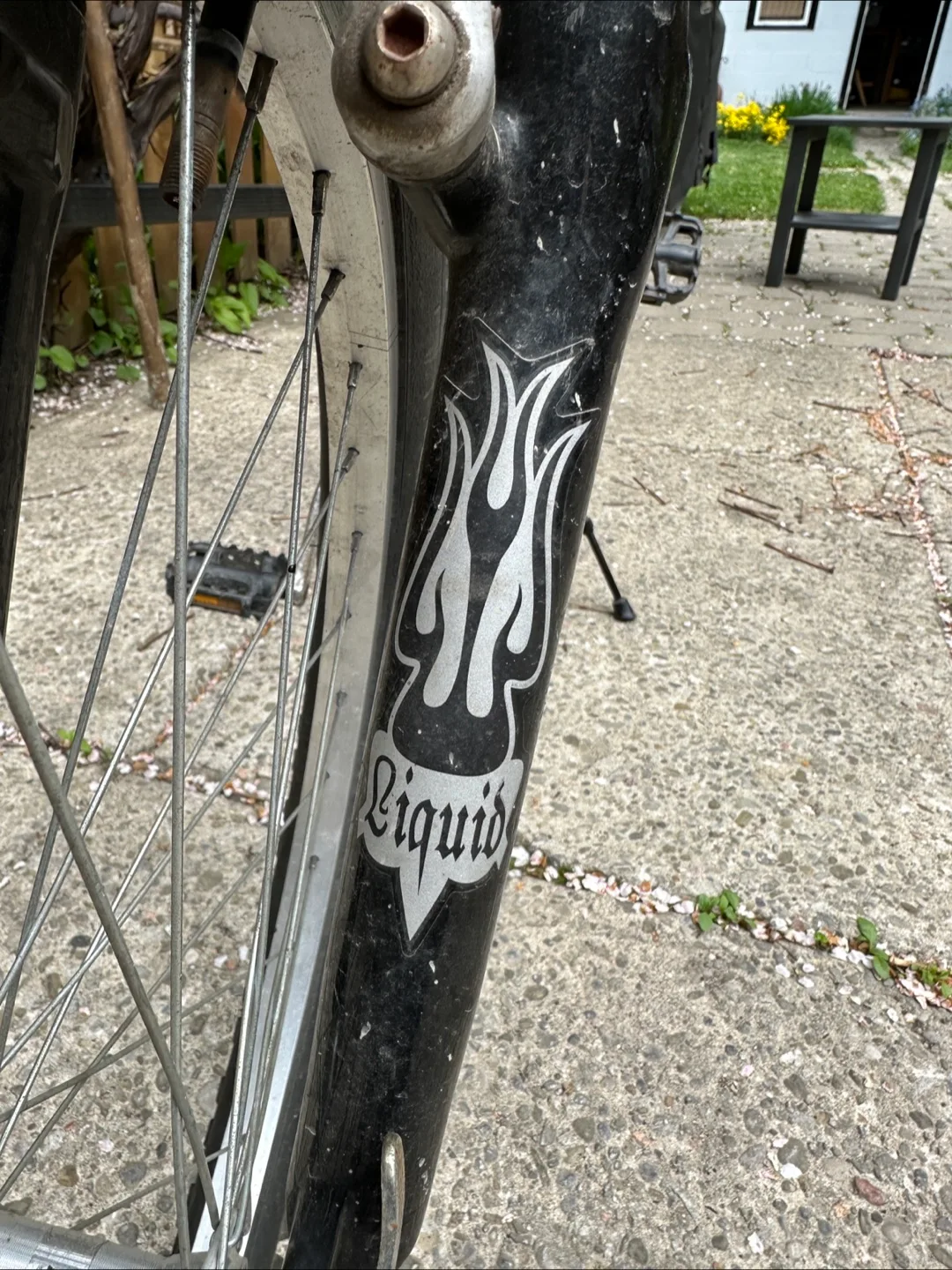 Miele 262 Mountain Bike - 21" image indicator(10)