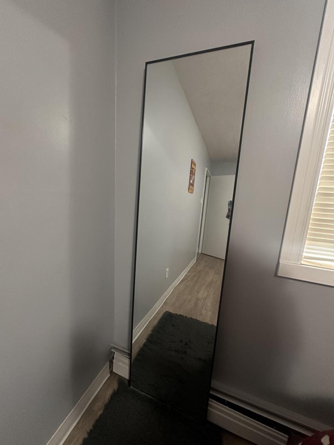 Full-Length Mirror with Black Frame - photo 3