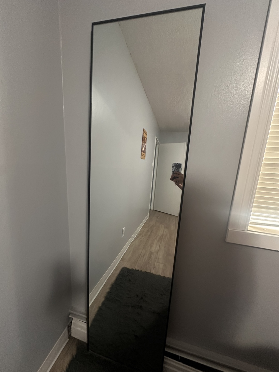 Full-Length Mirror with Black Frame