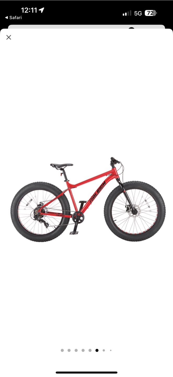 Raleigh Rogue Fat Tire Bike