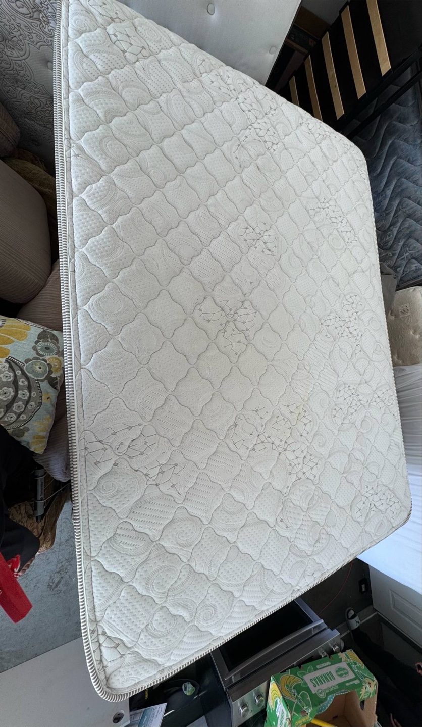 Twin Mattress and Box Spring Set