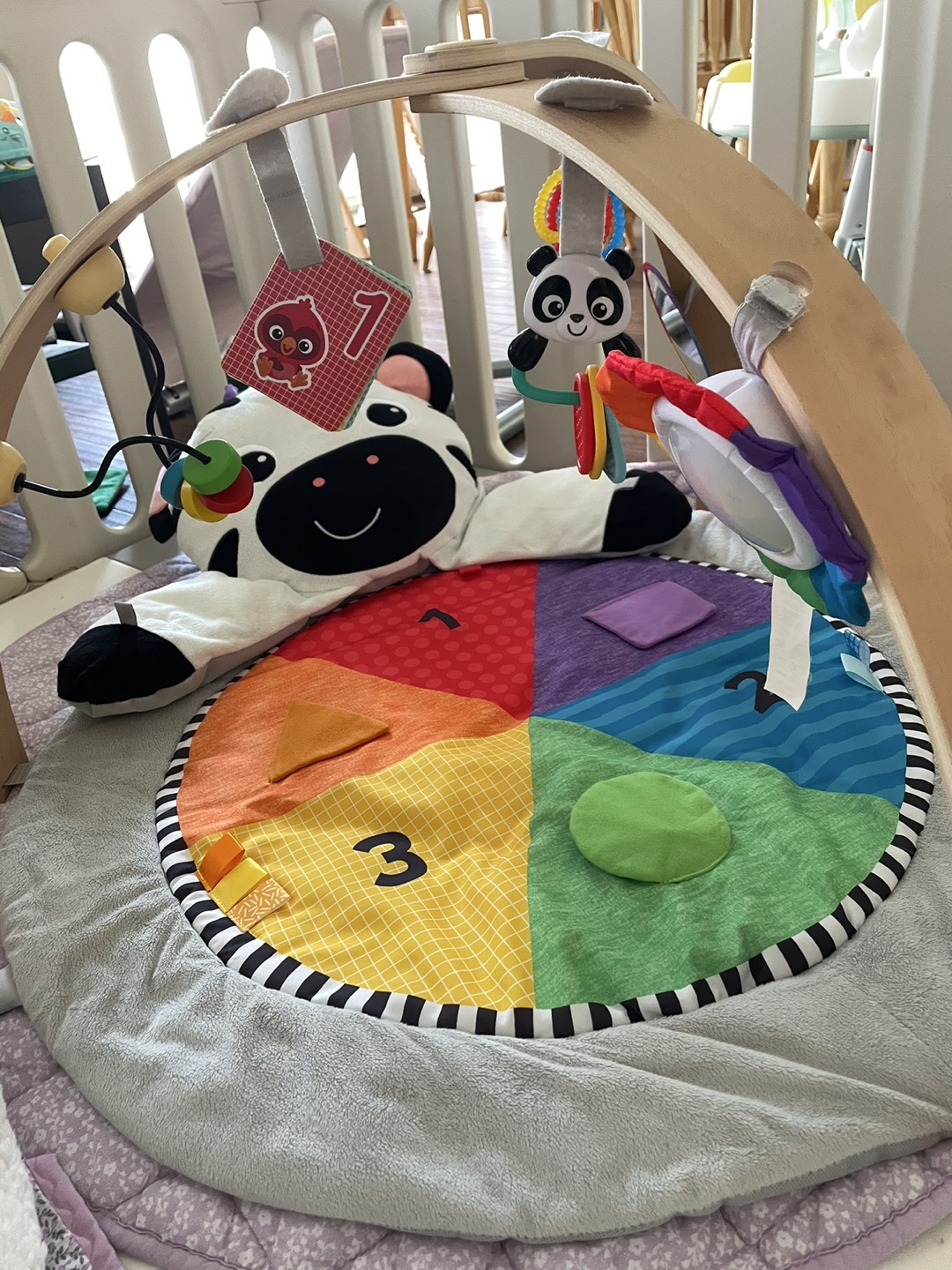 Zen's Activity Milestones Plush Gym