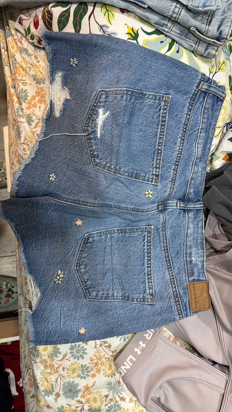 American Eagle embroidered denim shorts image indicator(2)