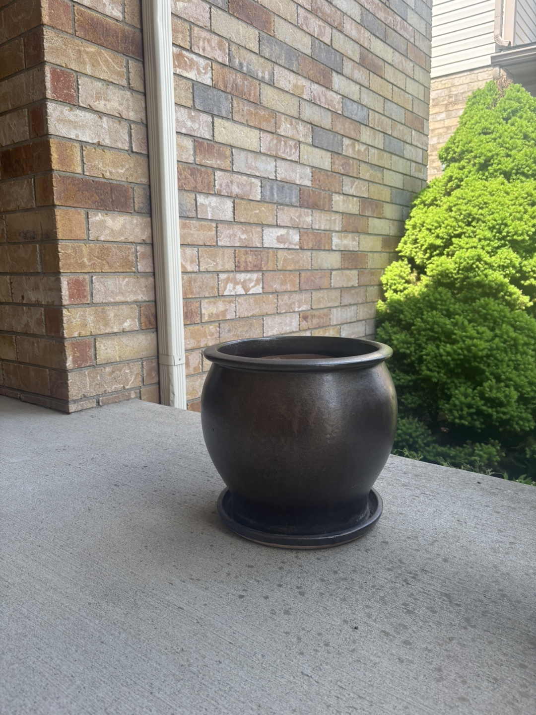 Large Dark Brown Ceramic Planter with Saucer