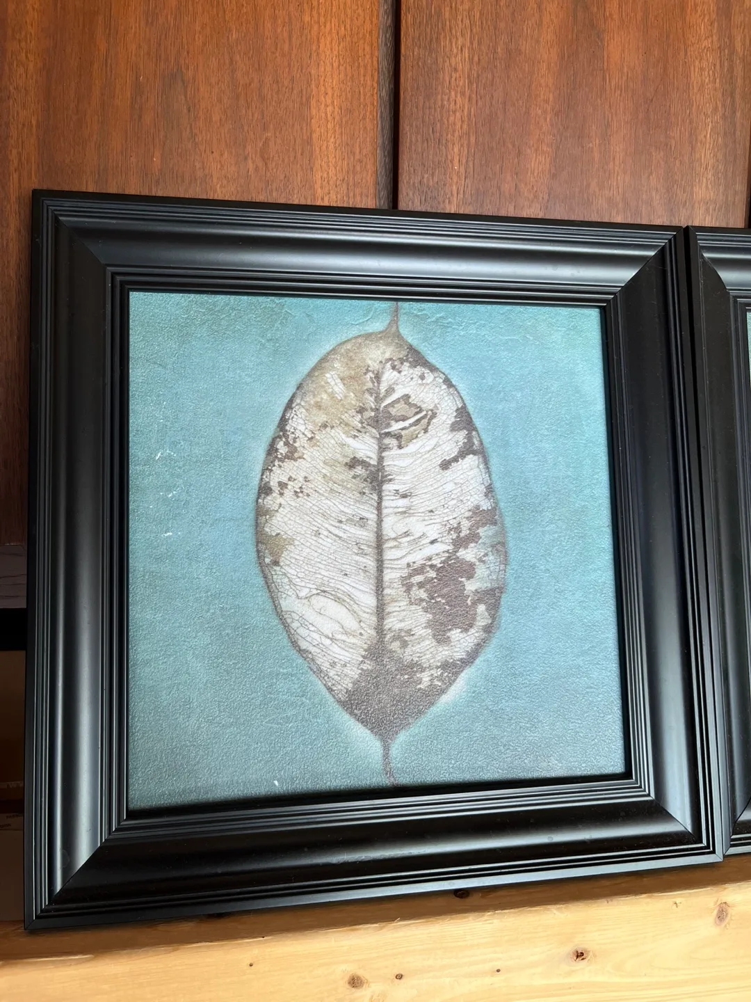 Pair of Framed Leaf Prints image indicator(2)
