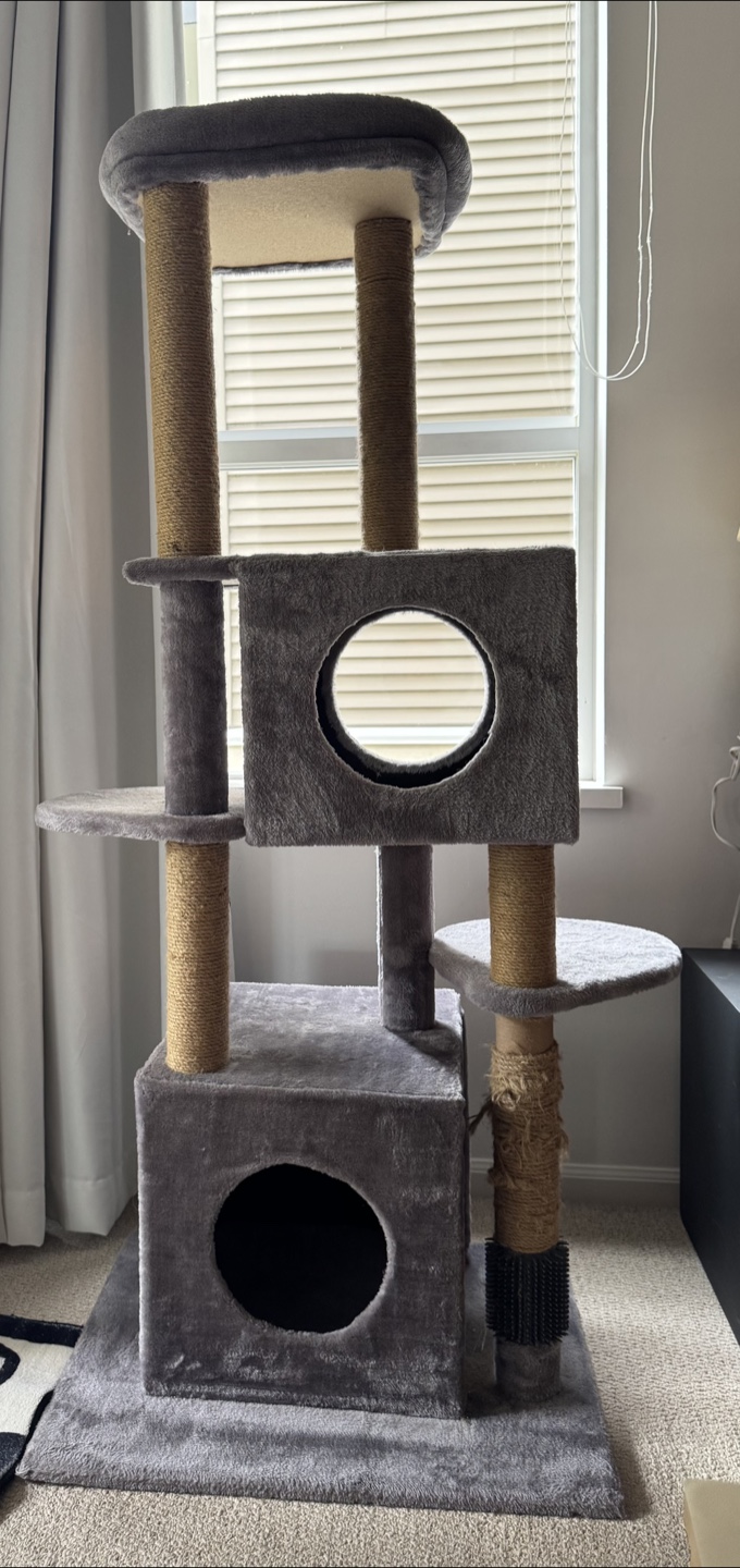 Cat Tower/tree