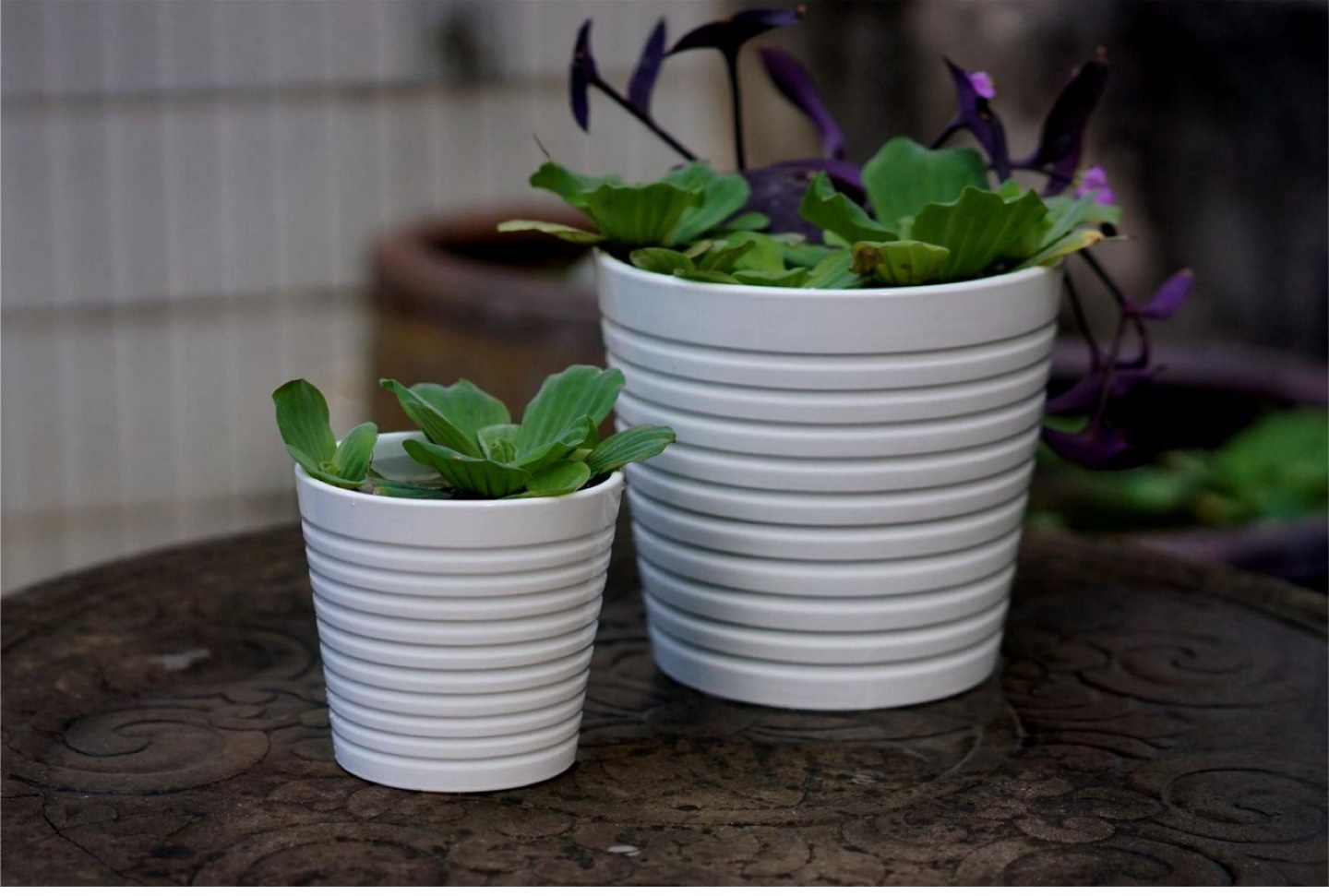 Brandnew Ceramic flower pots set - photo 4