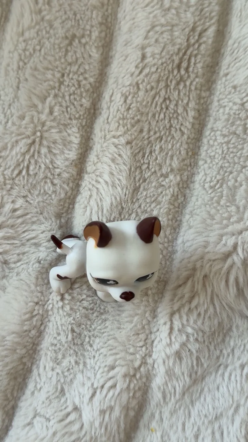 LPS Littlest Pet Shop Authentic #577 Tom Dawson Lps Popular image indicator(2)