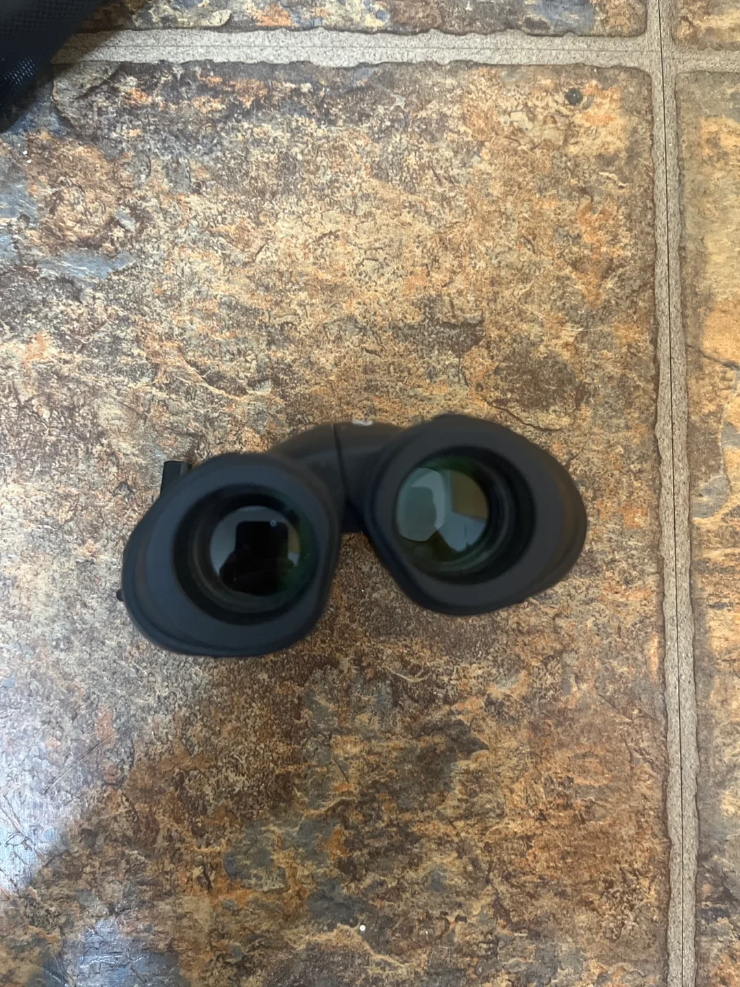 Aurosport 8x22 Binoculars with Carrying Case image indicator(3)