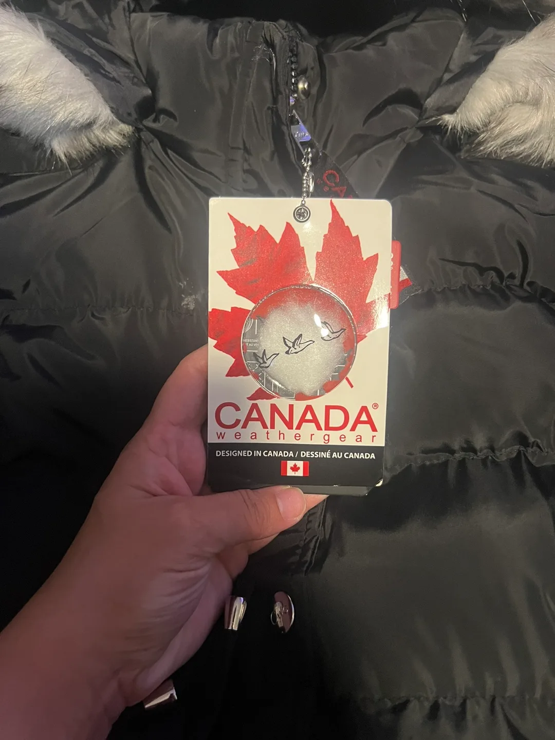 Woman’s winter coat image indicator(2)